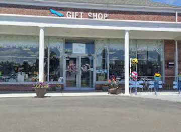 The Blue Dragonfly Gift Shop