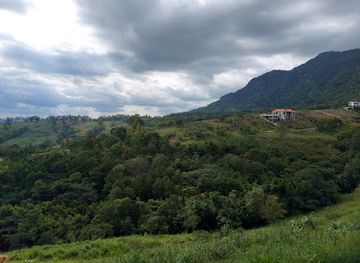 thailand/phetchabun-mountains/shop/le-bonheur-khao-kho