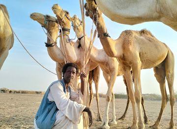 eritrea/teseney/shop/souq-shamboub