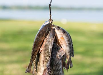 papua-new-guinea/wewak/shop/nymalik-trading