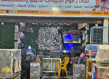 egypt/minya/shop/minya-animals