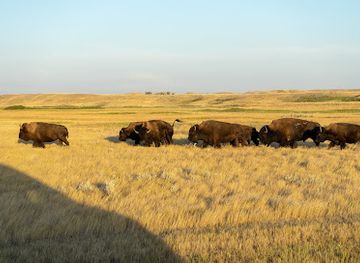 canada/gulf-islands-national-park-reserve/shop/grasslands-national-park
