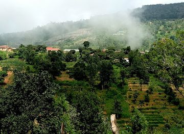 kenya/taita-hills/shop/saghasa