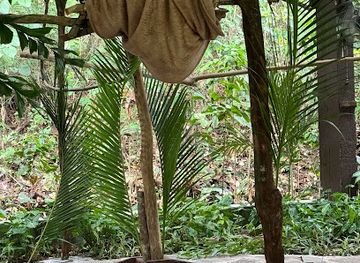 panama/gamboa/shop/gamboa-sloth-sanctuary