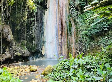 saint-lucia/diamond-falls-botanical-gardens/shop/diamond-falls-botanical-gardens-mineral-baths