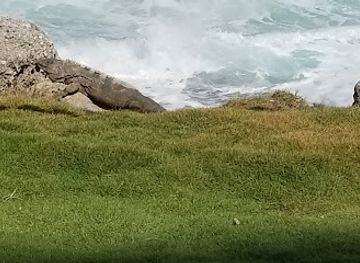 mexico/cancun/zona-hotelera/shop/pier-27-beach-life