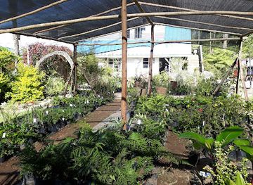 zimbabwe/bvumba-botanical-gardens/shop/hivu-nursery-cottages-camping