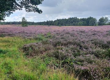 netherlands/sallandse-heuvelrug-national-park/shop/sallandse-heuvelrug