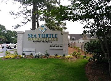 south-carolina/sea-islands/shop/sea-turtle-marketplace