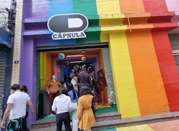 brazil/sao-paulo/shop/capsula-shop