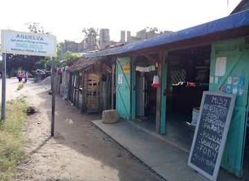 madagascar/vatovavy-fitovinany/shop/agrielva-tanambao