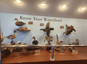 maryland/blackwater-national-wildlife-refuge/shop/blackwater-national-wildlife-refuge