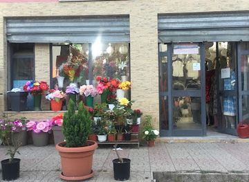 albania/bajram-curri/shop/ballkoni-luleve