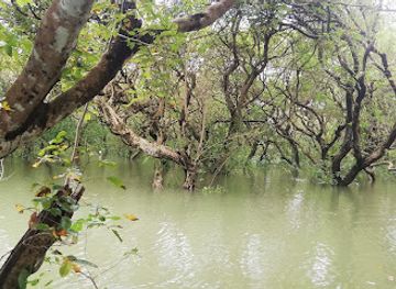 bangladesh/ratargul-swamp-forest/shop/rathargul-swamp-forest