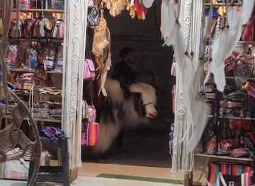 india/the-himalayas/shop/himalayan-owl