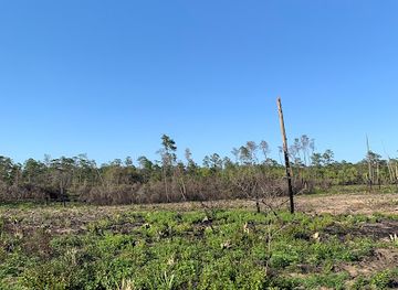 florida/ocala-national-forest/shop/ocala-national-forest