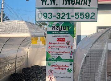 thailand/loei/shop/pp-cannabis-farm-by-loei