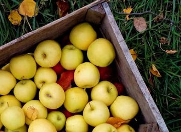 kyrgyzstan/naryn-region/shop/produktovyy-magazin-baybol