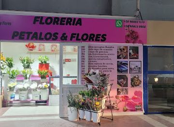 chile/curico/shop/floreria-petalos-flores