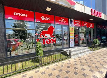 kyrgyzstan/jalal-abad/shop/lion