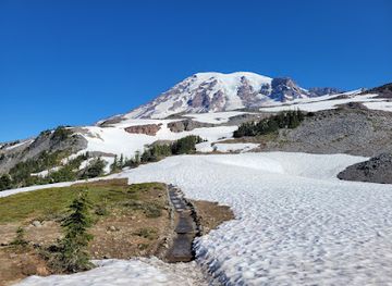 washington/mount-rainier-national-park/shop/paradise