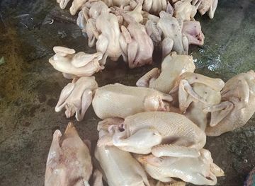 laos/attapeu-province/shop/heun-nang-ting-kham-pak-em-kam