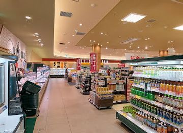 japan/nikko/shop/nikko-landmark