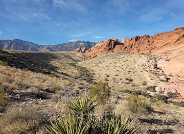 nevada/red-rock-canyon-national-conservation-area/shop/red-rock-canyon-national-conservation-area
