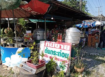 thailand/chumphon/shop/pane-turian-rannong-praidaw