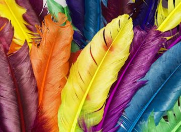 france/toulouse/saint-cyprien/shop/le-troc-des-nanas