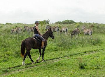 south-africa/isimangaliso-wetland-park/shop/bhangazi-horse-safaris