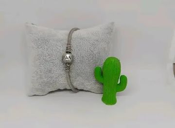 angola/kissama-national-park/shop/the-blacks