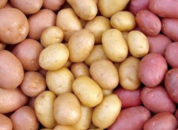 the-gambia/banjul/shop/bj-items-shop