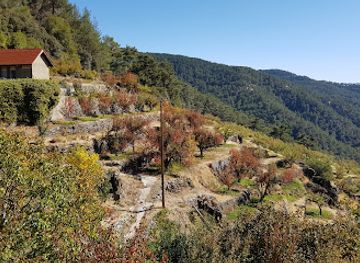 cyprus/troodos-national-forest-park/shop/trooditissa-monastery