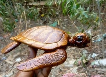 mayotte/grande-terre/shop/maison-de-l-artisanat