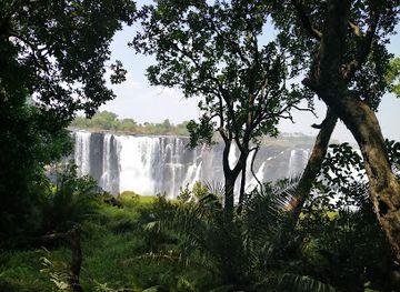 zambia/victoria-falls/shop/victoria-falls-crocodile-park