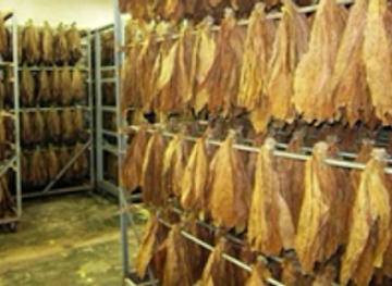 honduras/santa-rosa-de-copan/shop/la-flor-de-copan-honduras-s-a