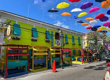 the-bahamas/san-salvador-island/shop/da-island-life