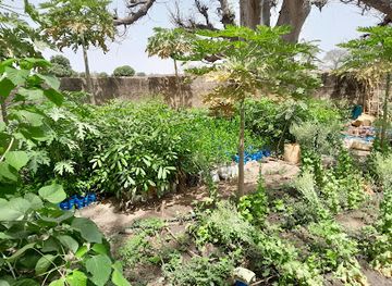 the-gambia/upper-river-region/shop/s-d-farm