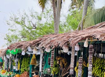 oman/salalah-coastal-plain/shop/haffa-market