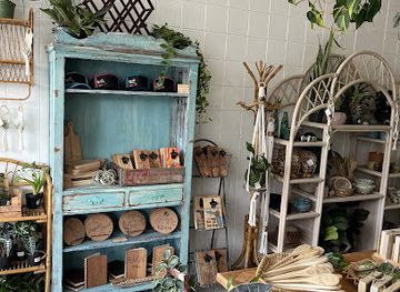 florida/st-petersburg/tampa-bay/shop/knotted-roots