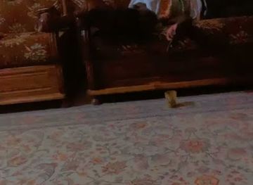 senegal/mbour/shop/boutique-pret-porter