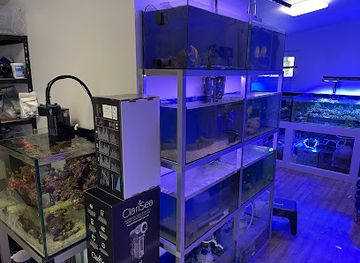 slovakia/mala-fatra-national-park/shop/koraly-sk