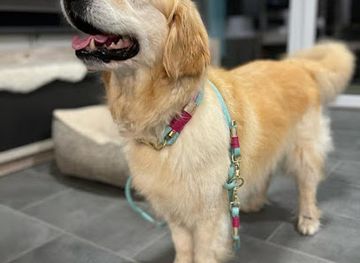 germany/thuringian-forest/shop/leinendullis-die-leinenmanufaktur