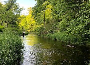 wisconsin/driftless-area/shop/driftless-angler