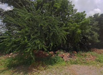 india/udaipur/shop/new-soga-gift