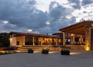 portugal/estremadura/shop/habitat-ciguena-negra