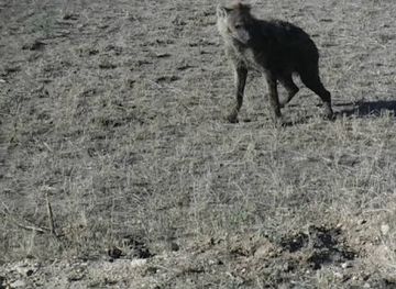 tanzania/ngorongoro-conservation-area/shop/olorukoti-boma