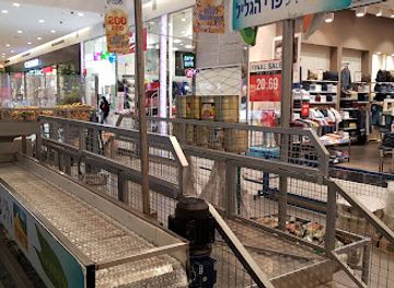 israel/sharon-plain/shop/sharonim