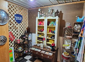 kansas/manhattan/shop/curious-chameleon